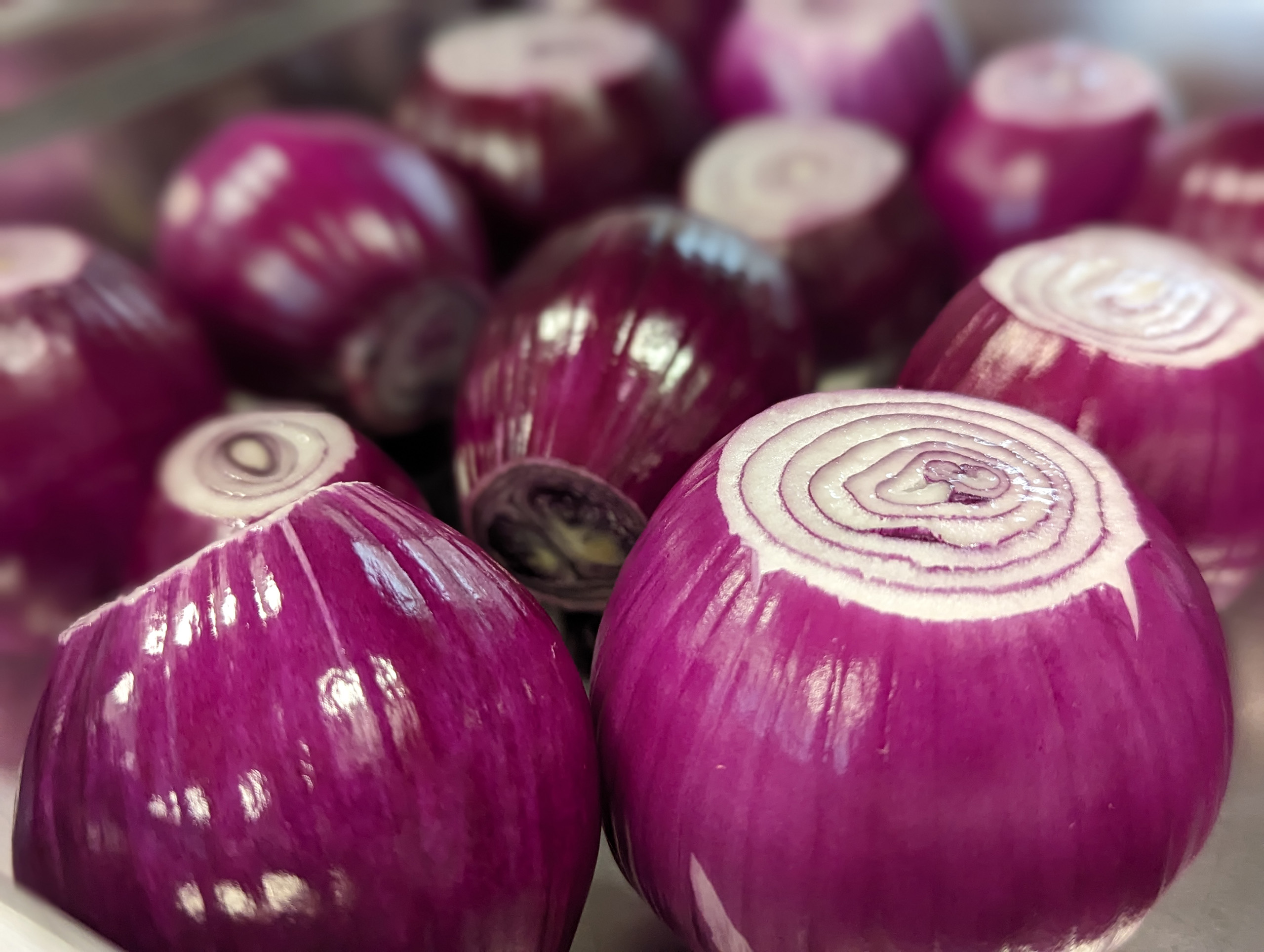 PXL_20230624_104636650.PORTRAIT